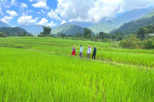 Việc tập trung đất nông nghiệp phải đảm bảo các nguyên tắc nào?