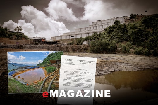 Vì sao Công ty TNHH Thiếc Hà An bị phạt và đình chỉ hoạt động?