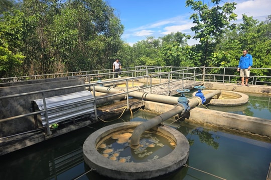 Quỳ Hợp tiếp tục khuyến cáo người dân hạn chế sử dụng nước máy