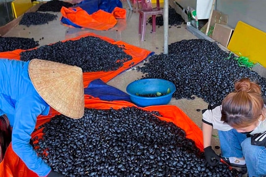 Điểm tin ngày 12/8