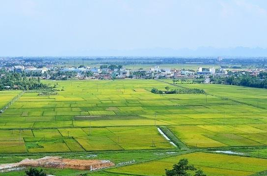 Luật Đất đai 2024 quy định về quyền tiếp cận thông tin đất đai như thế nào?