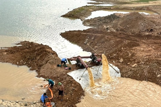 Lắp máy bơm dã chiến cứu 120ha lúa hè thu đang giai đoạn trổ bông ở Nghi Lộc