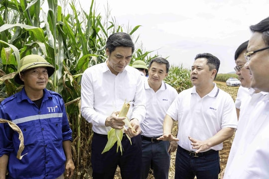 TH true MILK: “Đánh thức và lan tỏa lòng tự hào dân tộc”