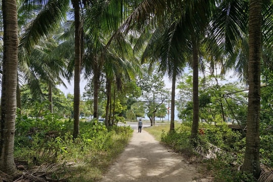 Đề nghị huyện Nghi Lộc xử lý tồn tại ở khu đất vàng bị 'bỏ quên' trên Đại lộ Bình Minh