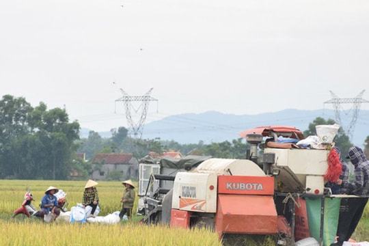 Người phụ nữ đi lấy rơm bị thương nặng do máy gặt lùi trên ruộng