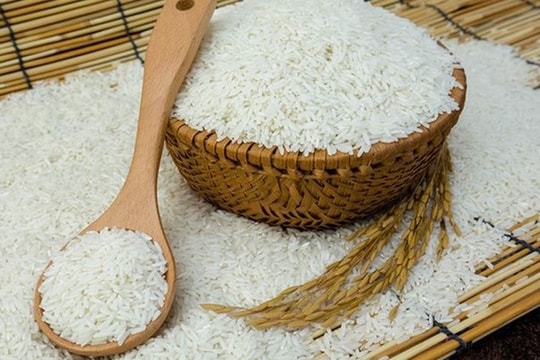 Giá lúa gạo hôm nay 21/8/2024: Giá lúa tăng, giá gạo giảm