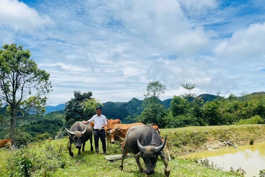 Người mở hướng làm giàu ở xã biên giới Nghệ An