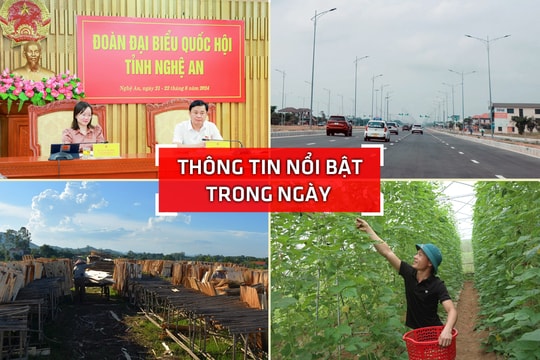 Nghệ An: Thông tin nổi bật ngày 21/8