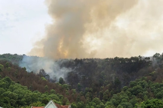 Chữa cháy rừng thông ở huyện Nghi Lộc, 2 cán bộ bị thương