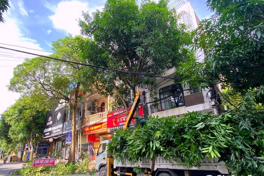 Người dân TP. Vinh mong muốn cây xanh nhanh chóng được cắt tỉa trước mùa mưa bão
