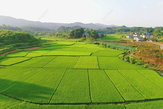 Luật Đất đai 2024 quy định về chuyển mục đích sử dụng đất như thế nào?