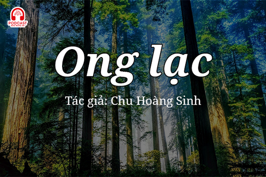 Đọc truyện đêm khuya: Ong lạc