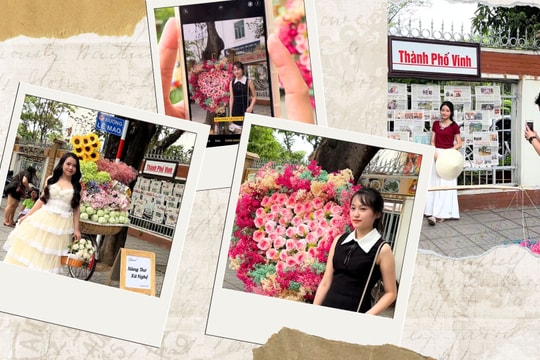 Giới trẻ thích thú với góc phố Thu thành Vinh