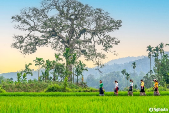 Về miền Tây xứ Nghệ khám phá vùng lõi của văn hóa Phủ Quỳ