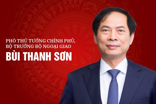 [Infographics] Chân dung tân Phó Thủ tướng Bùi Thanh Sơn