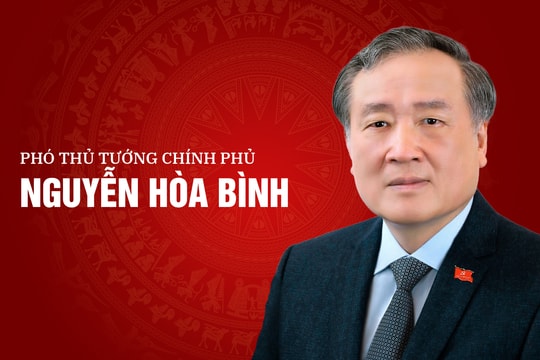 [Infographics] Chân dung tân Phó Thủ tướng Nguyễn Hòa Bình