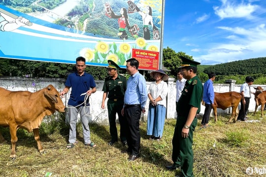 Trao 7 con bò giống cho các hộ nghèo ở khu vực biên giới Cao Vều
