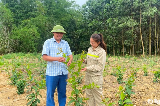 Ứng dụng khoa học công nghệ bảo vệ nguồn gen cây, con bản địa Nghệ An