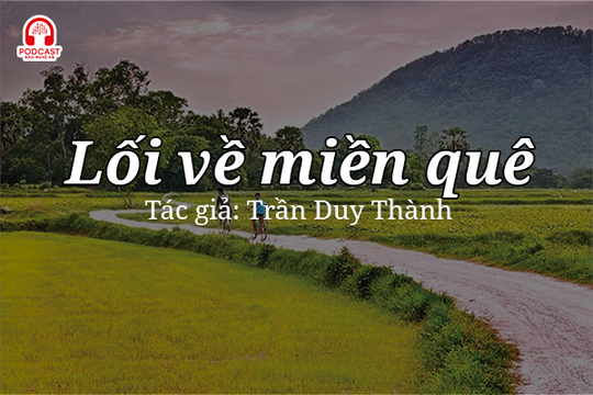 Tản văn hay: Lối về miền quê