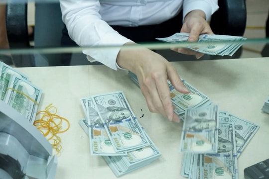 Tỷ giá USD hôm nay 30/8/2024: Đồng USD tăng 2 ngày liên tiếp