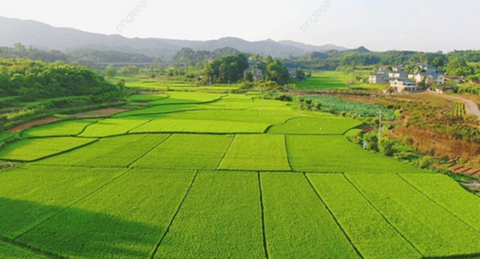 Thẩm quyền giao đất, cho thuê đất, cho phép chuyển mục đích sử dụng đất