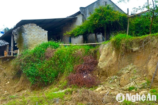 Sạt lở bờ sông Dinh đe doạ nhiều nhà cửa, đất canh tác ở Quỳ Hợp