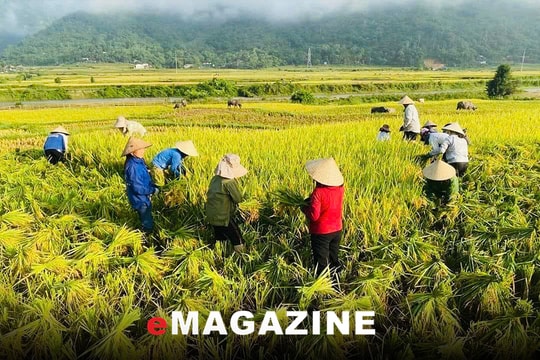 Chuyện phấn đấu thoát nghèo ở xã miền núi Châu Kim