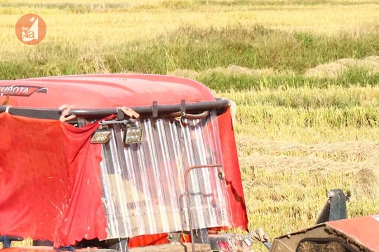 Cận cảnh máy cuộn rơm kiếm bộn tiền trên cánh đồng Nghệ An
