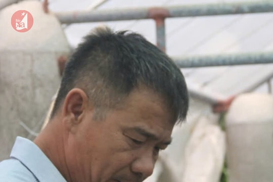 Tỷ phú nuôi tôm Nghệ An chia sẻ bí quyết thành công