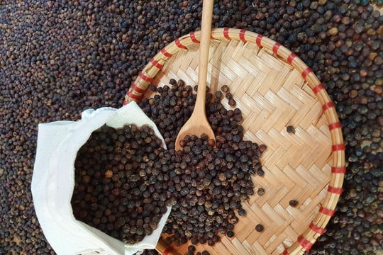 Giá tiêu hôm nay 2/9/2024: Tăng mạnh đến 5.000 đồng/kg
