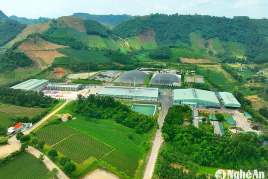 Định hướng phát triển bền vững nông nghiệp và nông thôn Nghệ An