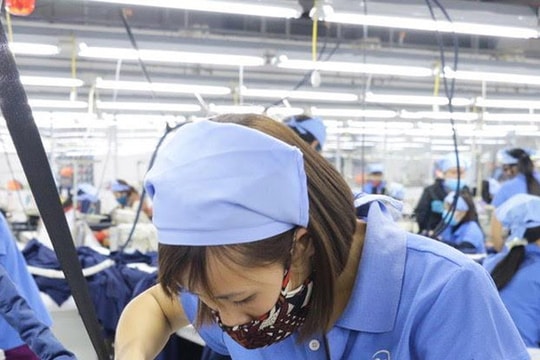 Điểm tin ngày 3/9