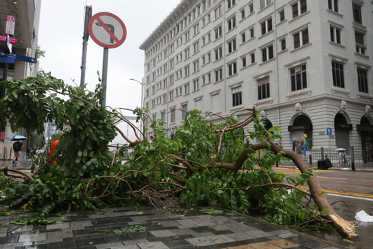 Siêu bão Yagi đi qua Hồng Kông