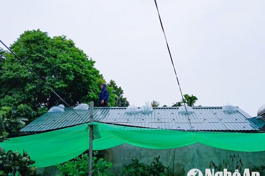 Người dân Nghệ An cấp tập chằng chống nhà cửa ứng phó với bão Yagi