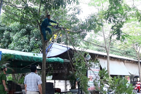 Ứng phó bão số 3, TP. Vinh kích hoạt các tổ phòng chống thiên tai