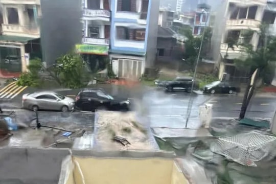 Bão số 3 gây thiệt hại nặng nề tại Quảng Ninh và Hải Phòng