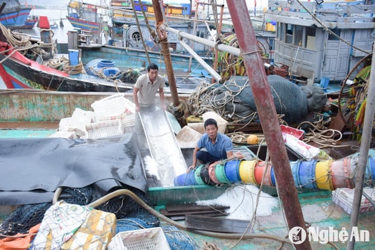 Người dân ven biển Nghệ An ‘chạy đua' chống siêu bão Yagi