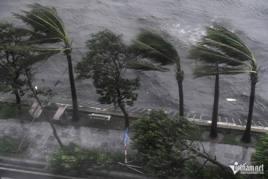 Tin mới nhất về cơn bão số 3 cập nhật lúc 14 giờ ngày 07/9: Bão đổ bộ vào Quảng Ninh - Hải Phòng