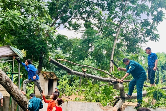 Lực lượng vũ trang Quế Phong giúp người dân khắc phục hậu quả bão số 3
