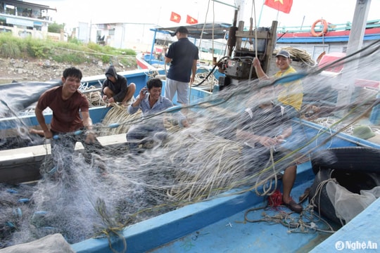 Ngư dân Nghệ An phấn khởi ra khơi sau bão số 3