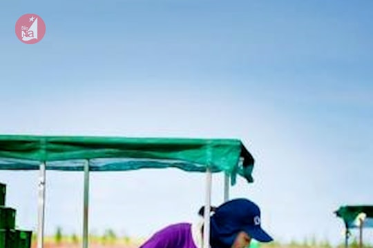 Australia sẽ cấp phép cho 1.000 lao động Việt Nam sang làm việc