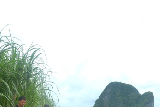 Bờ sông Lam đoạn qua huyện Anh Sơn sạt lở nghiêm trọng