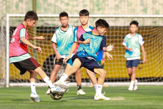 U11 Sông Lam Nghệ An và bài học đau đớn