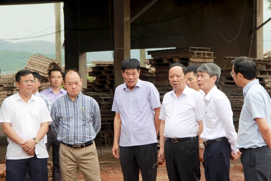 Phó Chủ tịch UBND tỉnh kiểm tra tiến độ triển khai Dự án Khu công nghiệp Thọ Lộc