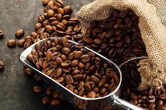 Giá cà phê hôm nay 12/9/2024: Tăng nhẹ 100 đồng/kg