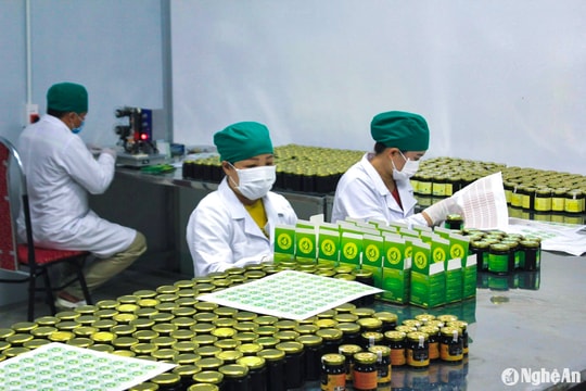 Nghệ An tăng thêm 30 hợp tác xã, 150 tổ hợp tác vào năm 2030