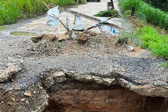 Cần khẩn trương khắc phục điểm sạt lở tại đê biển ở Diễn Châu