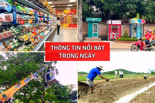 Nghệ An: Thông tin nổi bật ngày 15/9