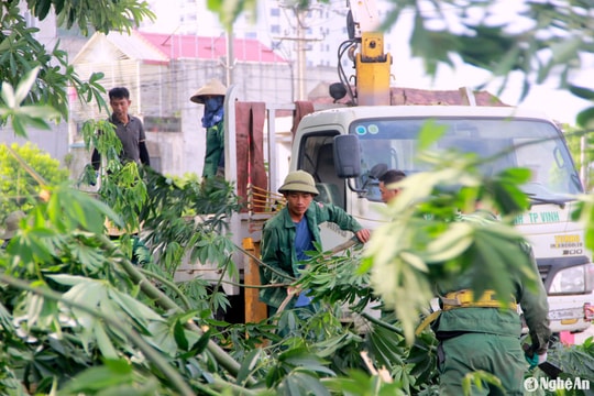 Thành phố Vinh cắt tỉa hàng loạt cây xanh ứng phó với mưa bão