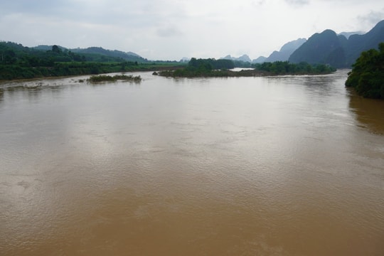 Nước sông Lam dâng cao, nguy cơ ngập nếu mưa lớn kéo dài